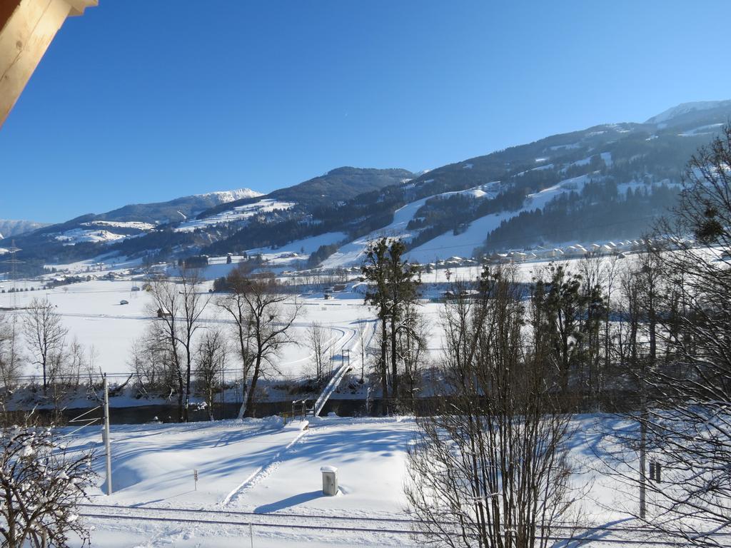 Апартаменти Bruecklerhof Гаус-ім-Енншталь Екстер'єр фото